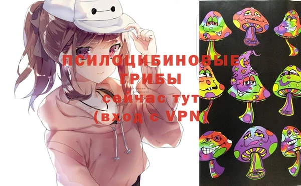 МДПВ Абдулино
