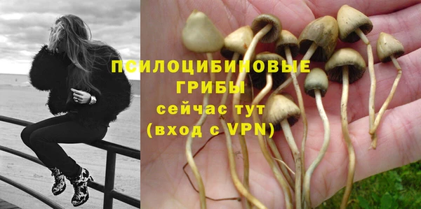 соль ск Алексин
