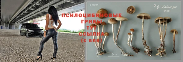 прущая мука Абаза