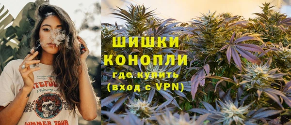 spice Алзамай