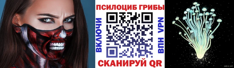 Псилоцибиновые грибы Psilocybe  что такое наркотик  Челябинск 